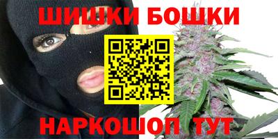 индика Кунгур