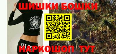 индика Кунгур