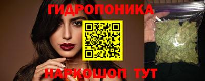 индика Кунгур