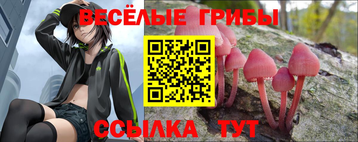 Галлюциногенные грибы мицелий Асино