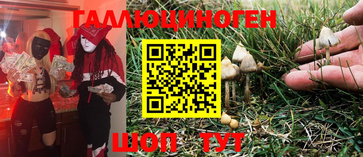 Псилоцибиновые грибы ЛСД  Вход с VPN  Галлюциногенные грибы Psilocybe  Асино 