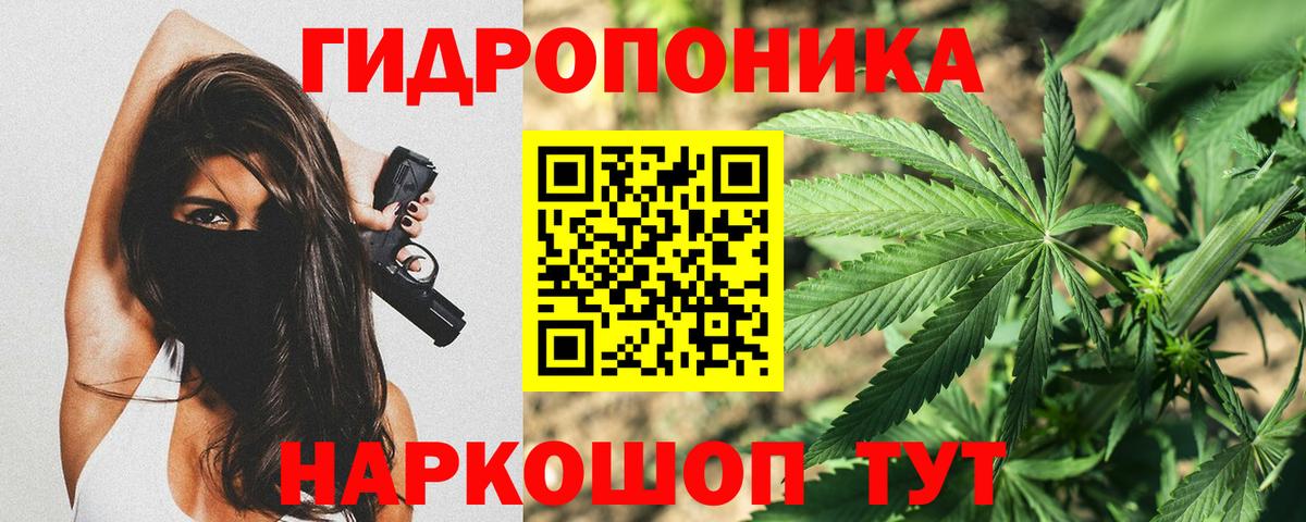 Конопля марихуана Асино